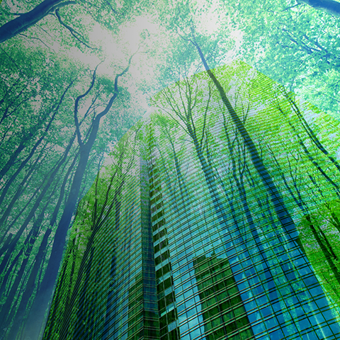 關於加盟之神 3